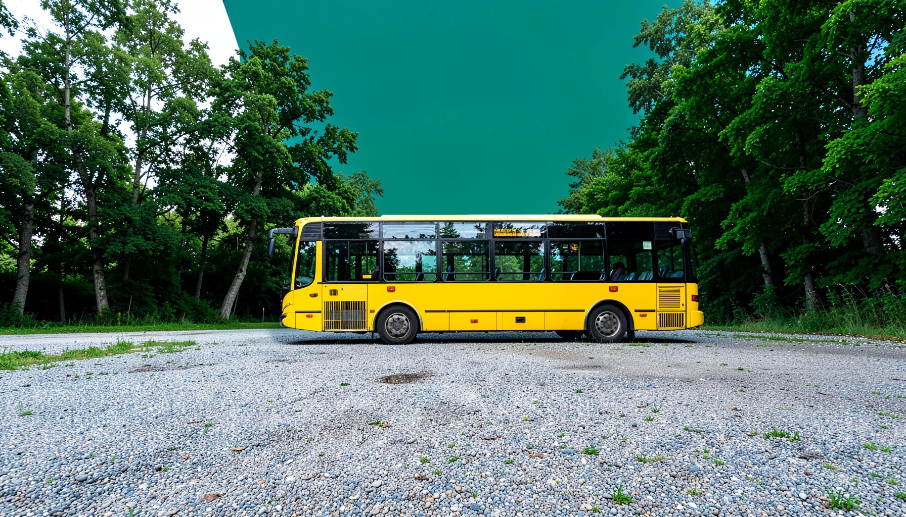 Bus scolaire conventionnel jaune stationné sur un terrain gravillonné, arbres en arrière-plan.